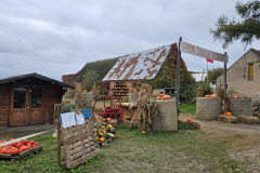 20251011_095037.bak_