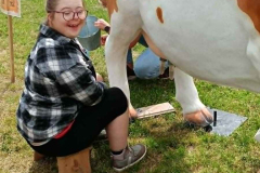 33