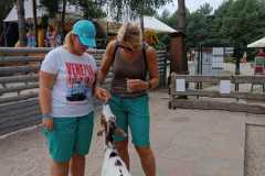 Zdjecie-WhatsApp-2025-08-28-o-20.44.10_1844fe74