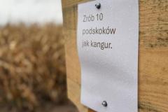 Zdjecie-WhatsApp-2025-10-11-o-17.09.00_7b2393ee