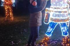 3a