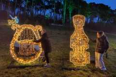 Zdjecie-WhatsApp-2025-11-15-o-21.53.10_b4b2d287