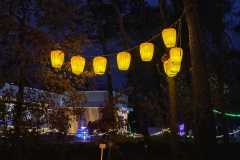 Zdjecie-WhatsApp-2025-11-15-o-21.55.27_a4fb4380