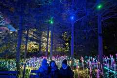 Zdjecie-WhatsApp-2025-11-15-o-21.57.37_2a0431d3