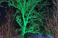 Zdjecie-WhatsApp-2025-11-15-o-22.04.47_186c7ca5