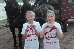 61436947_453584652075911_4512508974385332224_n