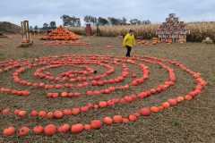 Zdjecie-WhatsApp-2025-10-11-o-11.24.14_fa39e377