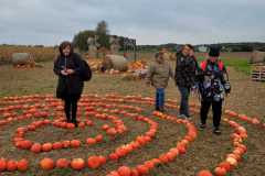 Zdjecie-WhatsApp-2025-10-11-o-15.58.18_979a860b