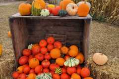 Zdjecie-WhatsApp-2025-10-11-o-17.39.14_ec4a7855