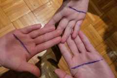 483225209_1169229930882293_4541152168282432682_n